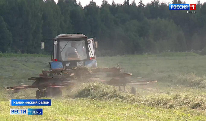 В Тверской области аграрии начали заготовку кормов для животных
