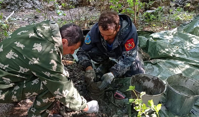 Обломки самолета и останки летчика нашли в Тверской области