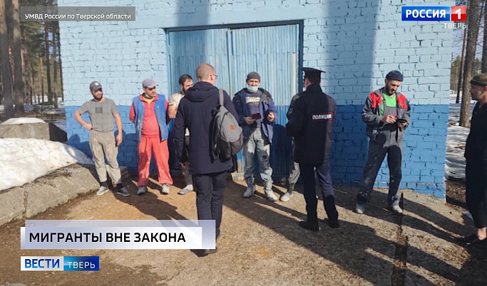 Происшествия в Тверской области | 25 марта | Видео