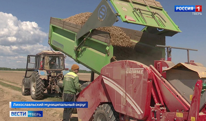 В рамках производственной практики студенты Тверской области работают на полях