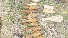 В Зубцовском округе нашли 17 артиллерийских снарядов и миномётных мин