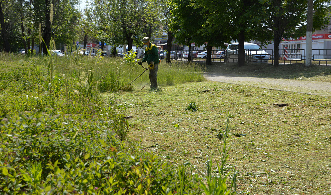 Более 47 тысяч квадратных метров травы выкосили в Твери за неделю