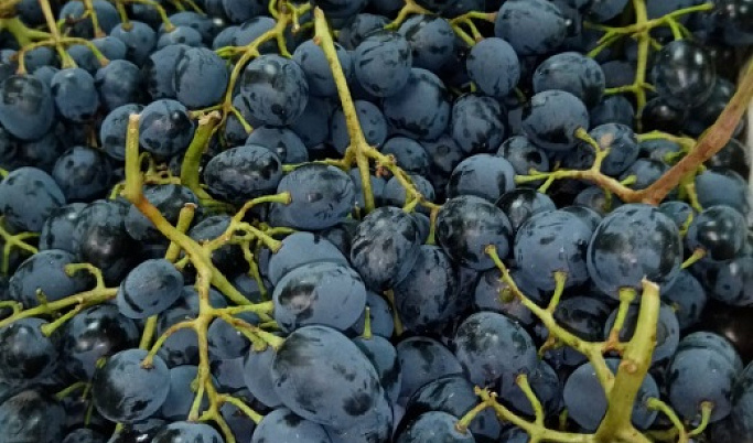 На рынках в Твери торговали виноградом без сопроводительных документов