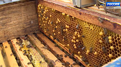 Фестиваль мёда и диких трав состоится в Тверской области