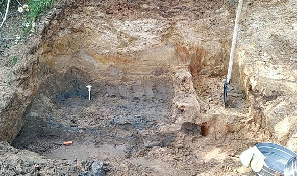 Мамонт в Тверской области: на месте нахождения доисторического животного продолжаются раскопки
