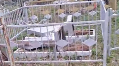 Подросток разгромил кладбище в Тверской области