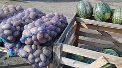 На рынке в Твери торговали подозрительными арбузами и картофелем