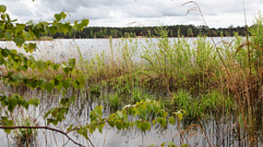 СК начал проверку по факту гибели мужчины в озере Сиг в Тверской области
