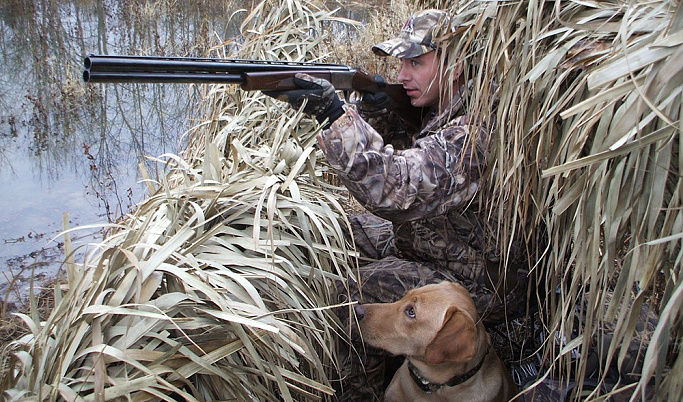 Охотников Тверской области приглашают на соревнования по стрельбе