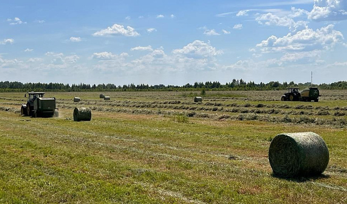 В Тверской области начали заготавливать корма для животноводства