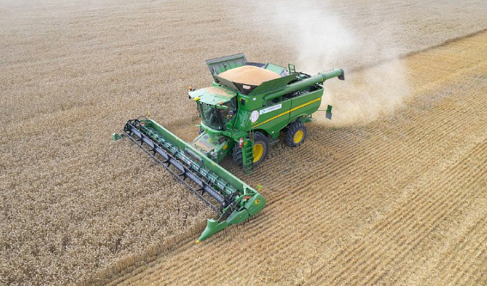 В Тверской области побили рекорд по урожайности озимой пшеницы за последние 15 лет