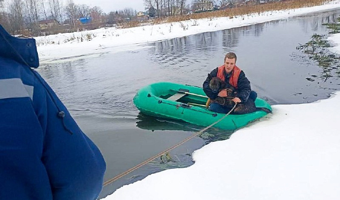 В Вышневолоцком районе спасли провалившуюся в ледяную воду собаку