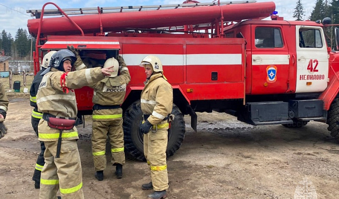 25 пожаров потушили в Тверской области за сутки