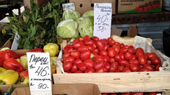 На бежецком рынке с нарушениями торговали томатами, дынями и арбузами