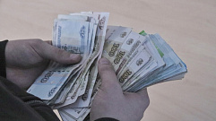 Тверитянин хотел купить попугая, но потерял 3 тысячи рублей