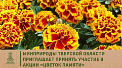 Минприроды Тверской области проводит акцию «Цветок Памяти»