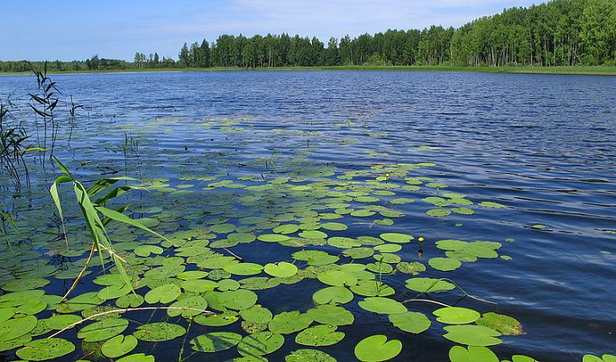 Жителям Тверской области суд открыл свободный доступ к озеру Пудоро