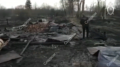 СК начал проверку по факту крупных пожаров в Вышневолоцком районе