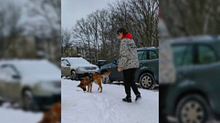 В Тверской области пёс нашел своих хозяев спустя два года