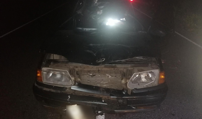 В Кашинском городском округе в ДТП с лосем погиб водитель