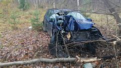 В Тверской области автомобиль вылетел в кювет и врезался в дерево