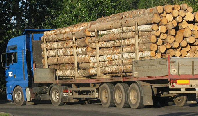Лесозаготовитель из Тверской области нарушил законодательство в сфере карантина растений