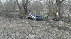 В Тверской области легковушка влетела в дерево – водитель погиб