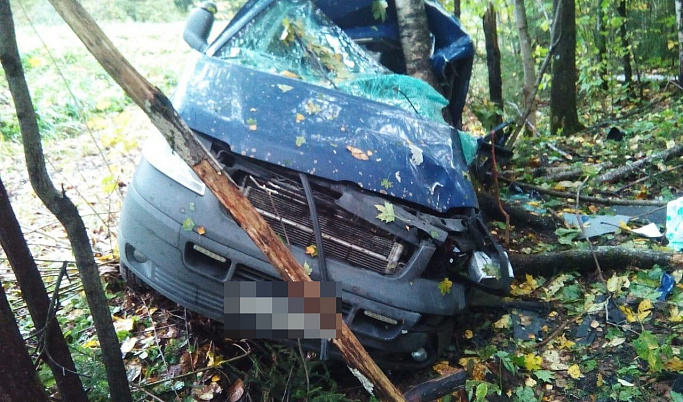 В Торопецком районе водитель уснул за рулем и врезался в дерево