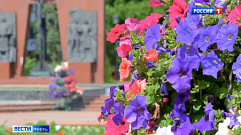 Вандалы испортили цветочные клумбы на Смоленском захоронении в Твери