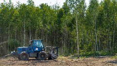 Более 990 гектаров неиспользуемой пашни ввели в оборот в Ржевском районе