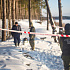 В Тверской области в лесном массиве нашли человеческие останки