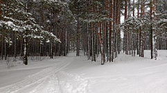 В Тверской области к выходным похолодает до -17 градусов