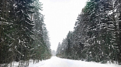 Зима решила навестить Тверскую область