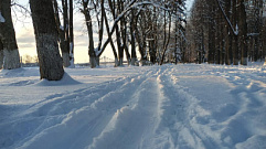 Снег запер жителей одной из деревень Тверской области дома