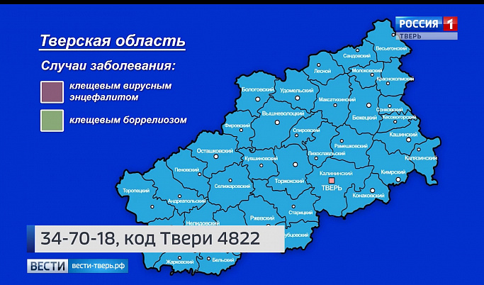 В Тверской области от укусов клещей пострадали более 20 человек