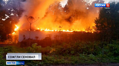 Происшествия в Тверской области сегодня | 28 августа | Видео