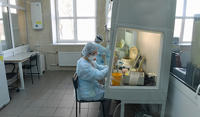 За сутки коронавирус в Тверской области выявили у 572 человек