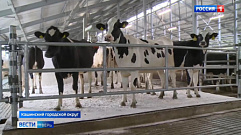 В Кашинском городском округе в 2023 году откроют новый молочно-технологический комплекс 