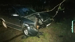 В Тверской области водитель пытался объехать лося и врезался в дерево