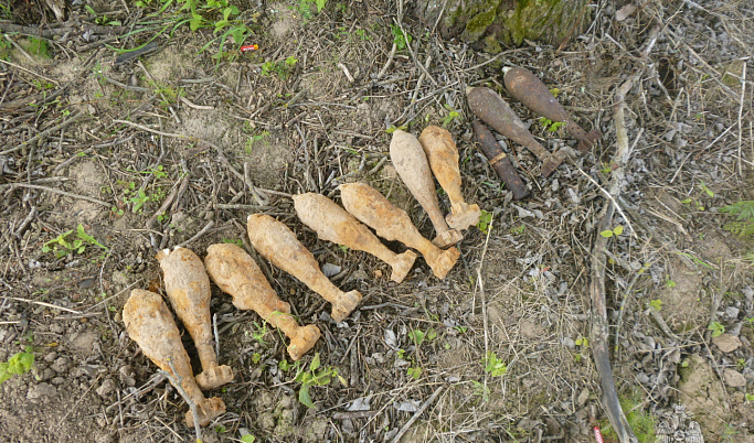 В Тверской области обнаружили 12 взрывоопасных предметов времен Великой Отечественной войны