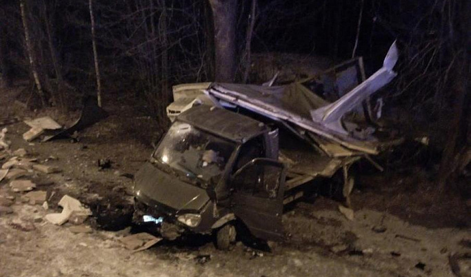В Тверской области водитель уснул за рулем и вылетел в кювет