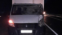 В Тверской области в ДТП с лосем пострадал водитель фургона 