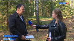 В Тверской области продолжается борьба с «черными лесорубами»