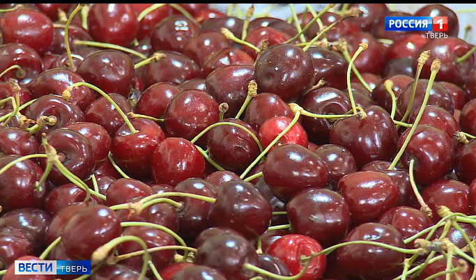 Жителям Тверской области рассказали, как выбрать свежие и сладкие ягоды