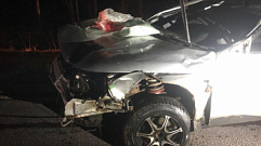 Водитель легковушки погиб в ДТП с животным в Тверской области 