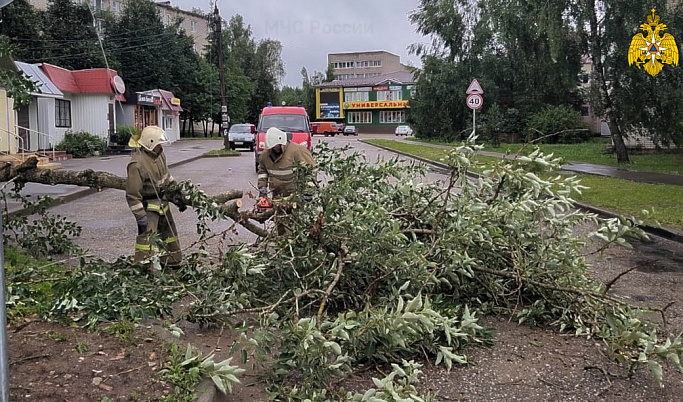 Ветер продолжает валить деревья в Тверской области