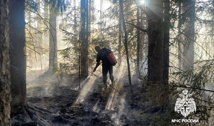 Лесной пожар ликвидировали в Удомельском округе