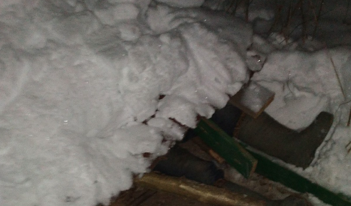 В Тверской области спасли пожилого мужчину, на которого из-за снега упал сарай