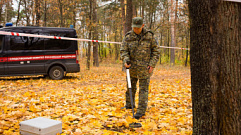 В Тверской области в лесу нашли человеческие останки 
