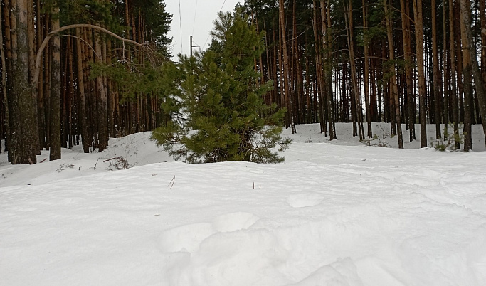 Под конец января на Тверскую область обрушится сильный снегопад